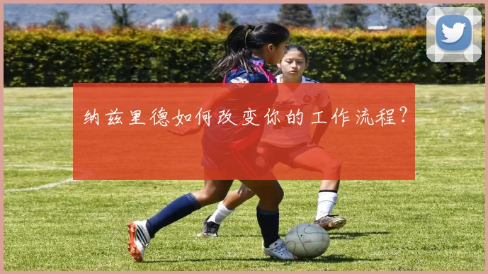 纳兹里德如何改变你的工作流程?